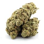 la beatnik a three nug