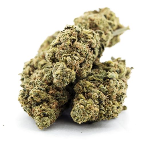 la beatnik a three nug