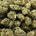 Wholesale - LA Beatnik - A