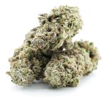 lamb's breath aaaa three nug