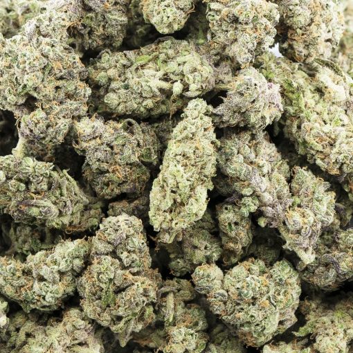 Wholesale - Lamb's Breath - AAAA
