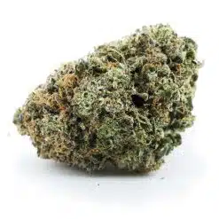 mike tyson aaaa nug