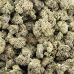 Wholesale - Orange Diesel - AAAA