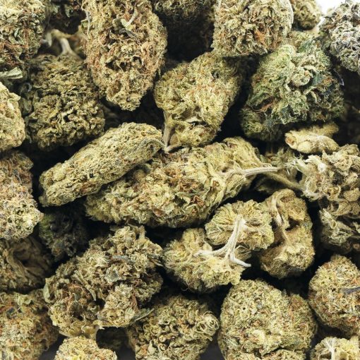 Wholesale - Orange State Kush - A