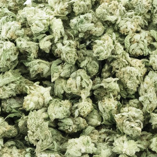 Or3o Blizzy AAAA Popcorn - Indica