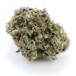 pinetrak craft nug