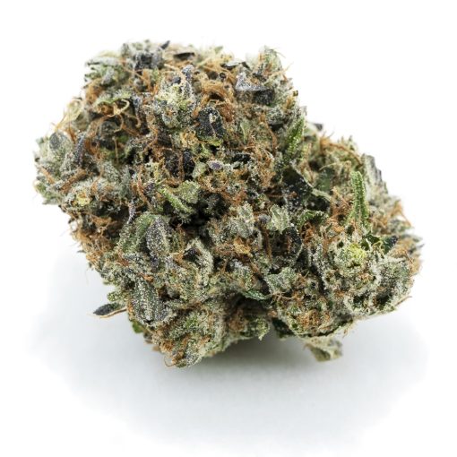 pinetrak craft nug