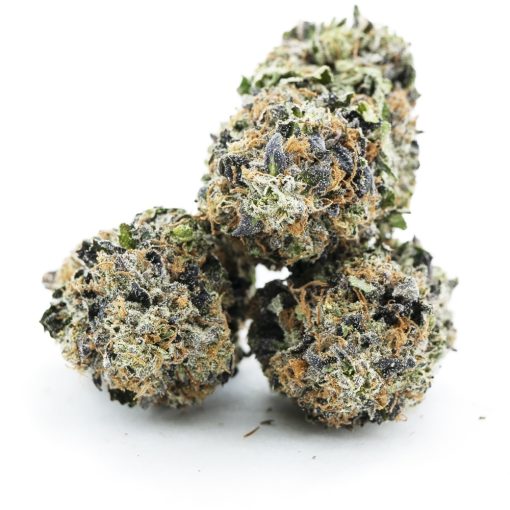 pinetrak craft three nug
