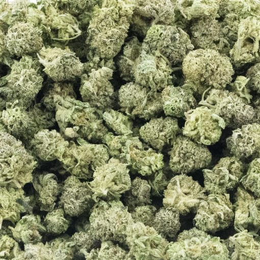 Wholesale Popcorn - Rockstar Kush - Craft