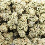 sweet mendo kush aaaa wholesale