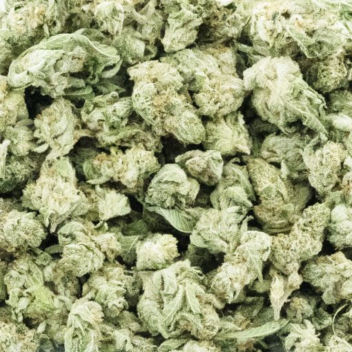 Wholesale Popcorn - Triangle Mints - AAAA