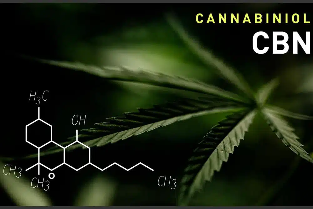 cbn cannabinol