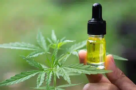 fake weed oil