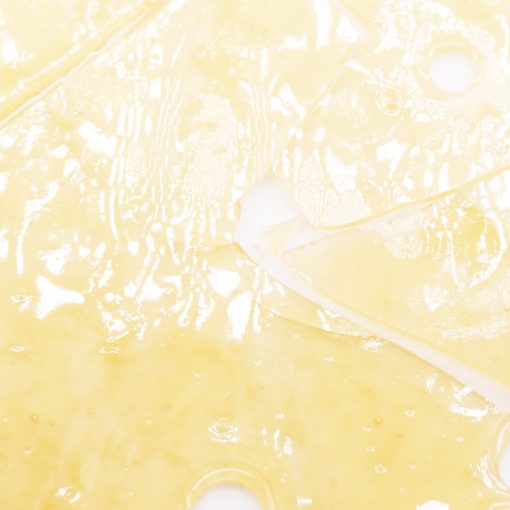 bc mango shatter crop