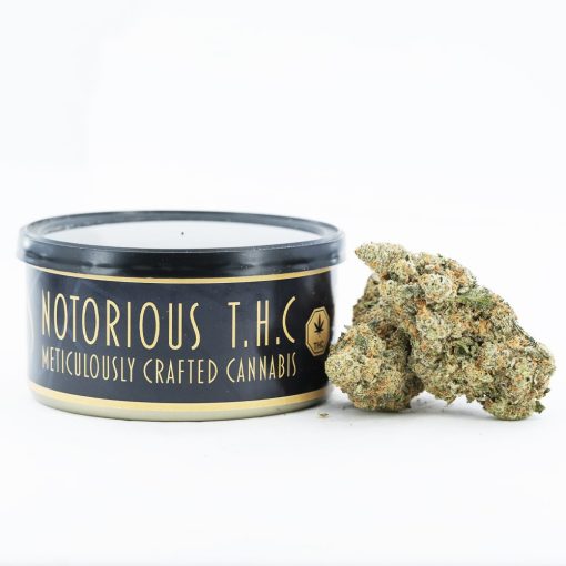 Notorious THC Craft - Blue Cookies (7 Grams)