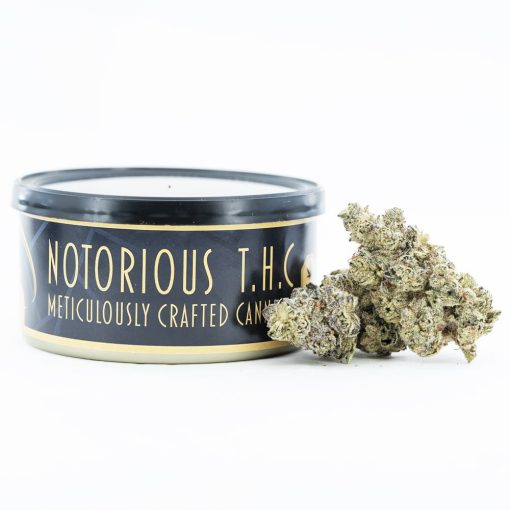 crescendo rbx1 craft tuna can