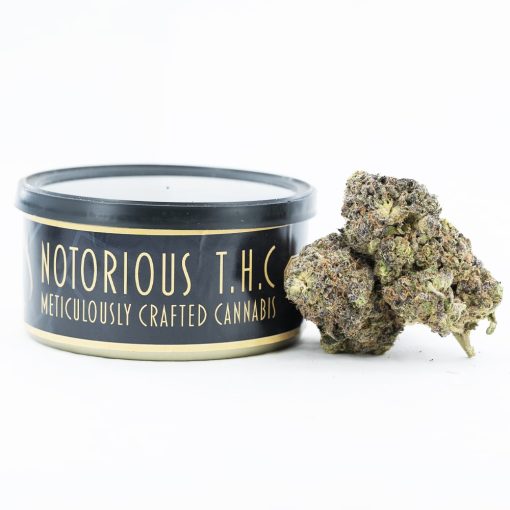 ghost og x cherry puff craft tuna can
