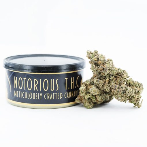 Notorious THC Craft - OG Pie Breath (7 Grams)