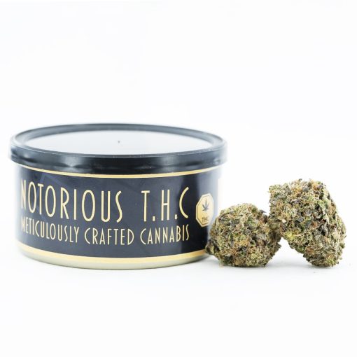 strawberry fields craft tuna can