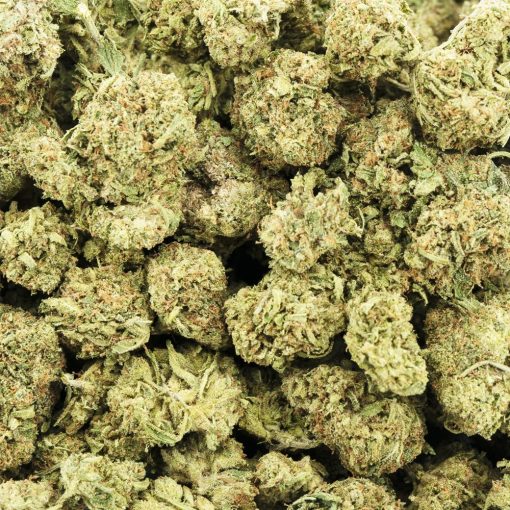 bermuda sour a wholesale