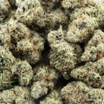 cookie crisp aaa wholesale