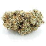 diesel thai aaa nug