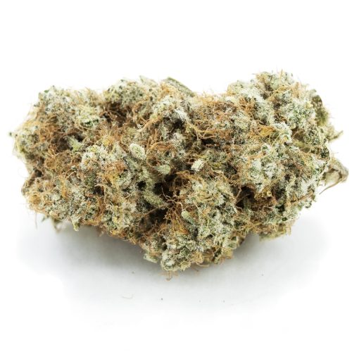 diesel thai aaa nug