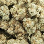 Wholesale - Diesel Thai - AAA