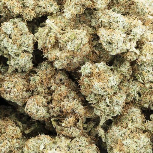 Wholesale - Diesel Thai - AAA
