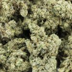 durban poison craft wholesale