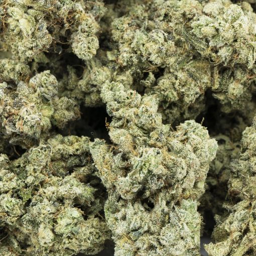 durban poison craft wholesale