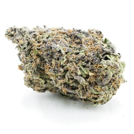 Gelato Pie Craft - Indica