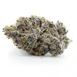 Goji Gushers Craft - Hybrid