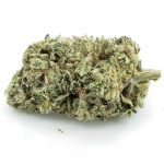 Jelly Runtz Craft - Hybrid
