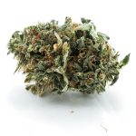 Jungle Punch A - Indica