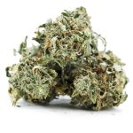 jungle punch a three nug