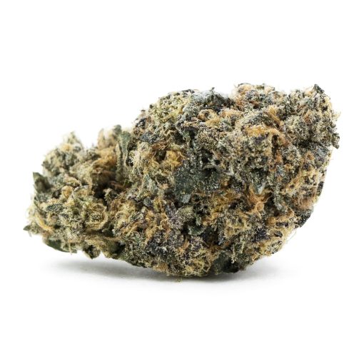 jungle scout cookies aaa nug