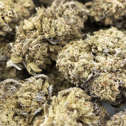 Mendo Kush AA whole sale