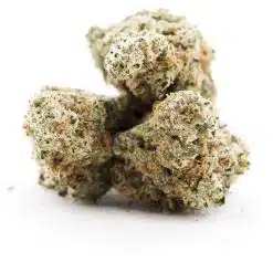 panda glue aaaa three nug