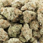 panda glue aaaa wholesale