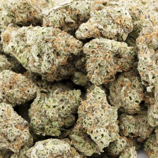 panda glue aaaa wholesale