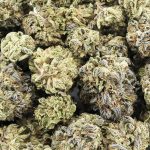 Wholesale - Peyote WiFi - AAA