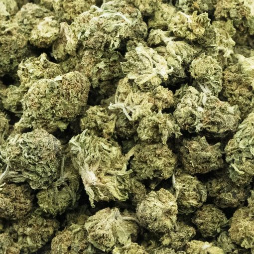 pineapple dream a wholesale