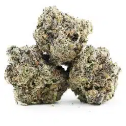 pink gelato craft three nug