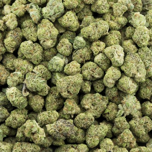pk white widow popcorn craft crop