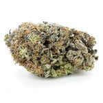 rocket fuel aaa nug