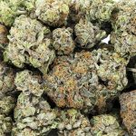 Wholesale - Rocket Fuel - AAA