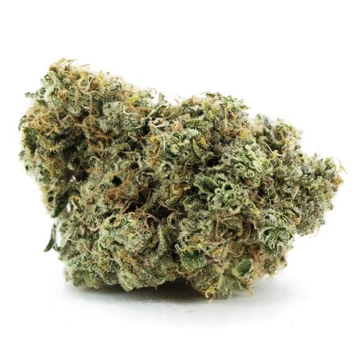 royal jelly aaa nug