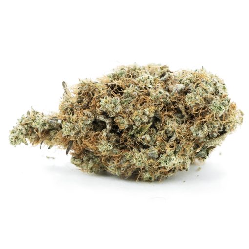 tahoe alien aaa nug