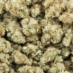 Wholesale - Tahoe Alien - AAA